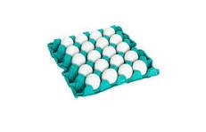 imagem de OVOS BRANCOS  OVOS UP - PENTE C/20