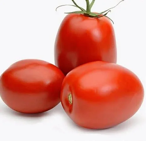 imagem de HORTI - TOMATE SALADETE KG