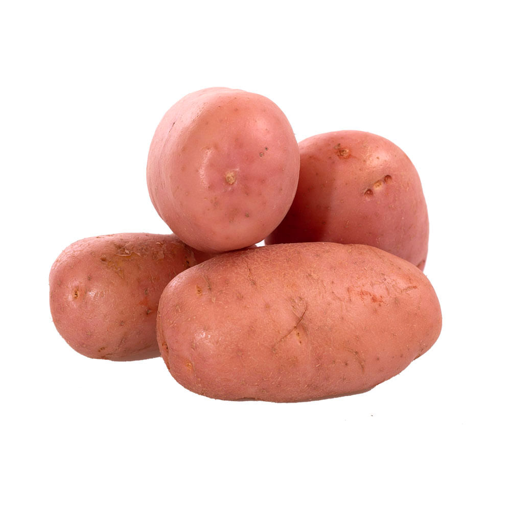 imagem de BATATA  ARTERIX