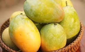 imagem de HORTI - MANGA COMUM