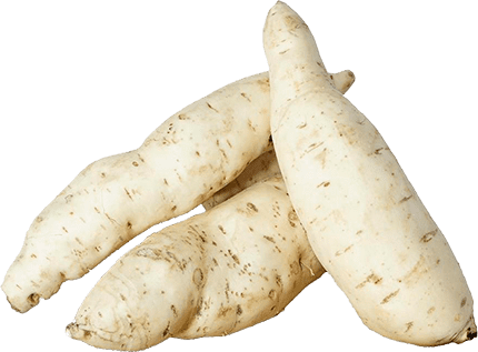 imagem de HORTI - BATATA DOCE BRANCA