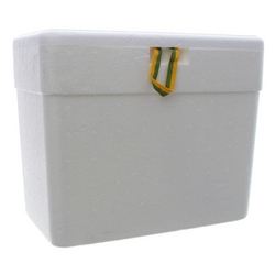 imagem de CAIXA DE ISOPOR ISOFORT 8LT C/ ALCA