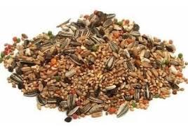 imagem de RACAO ALL BIRD 500G TRINCA FERRO C FRUTAS