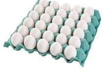 imagem de OVOS BRANCO JETIBA - PENTE C 30