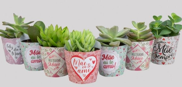 imagem de FLOR NATURAL MINI SUCULENTA