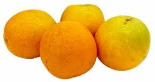 imagem de HORTI - LARANJA SELECTA KG