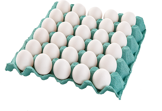 imagem de OVOS BRANCO BROMERSCHENKEL- PENTE C/30