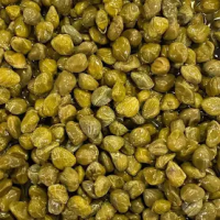 imagem de ALCAPARRA EM CONSERVA  NOBLE NATURE 100G