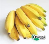 imagem de HORTI - BANANA PRATA ORGANICA