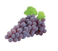 imagem de HORTI - UVA PRETA NUBIA 500G BDJ